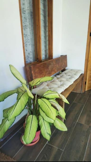 Casa Paraiso Manzanillo  Zewnętrze zdjęcie