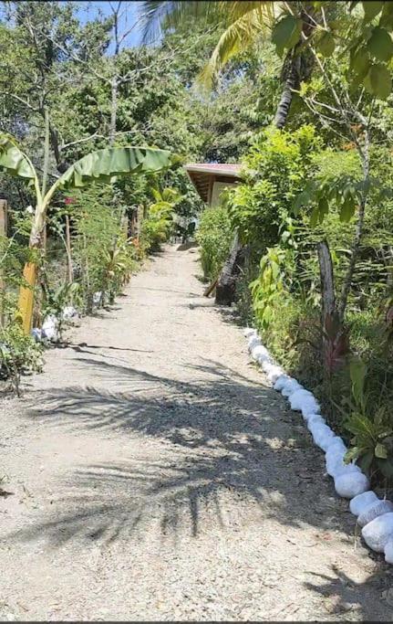 Casa Paraiso Manzanillo  Zewnętrze zdjęcie