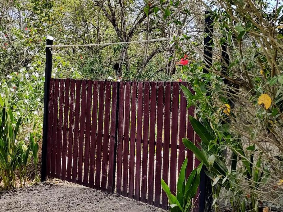 Casa Paraiso Manzanillo  Zewnętrze zdjęcie