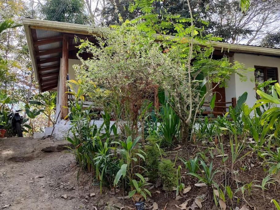 Casa Paraiso Manzanillo  Zewnętrze zdjęcie