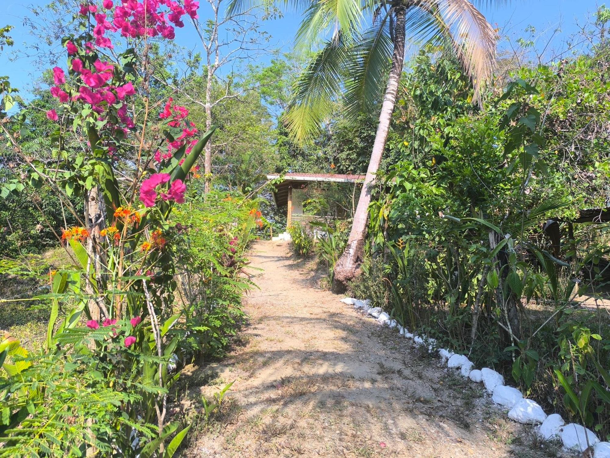 Casa Paraiso Manzanillo  Zewnętrze zdjęcie